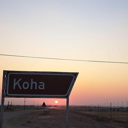 Koha Guesthouse Mariental Exterior photo