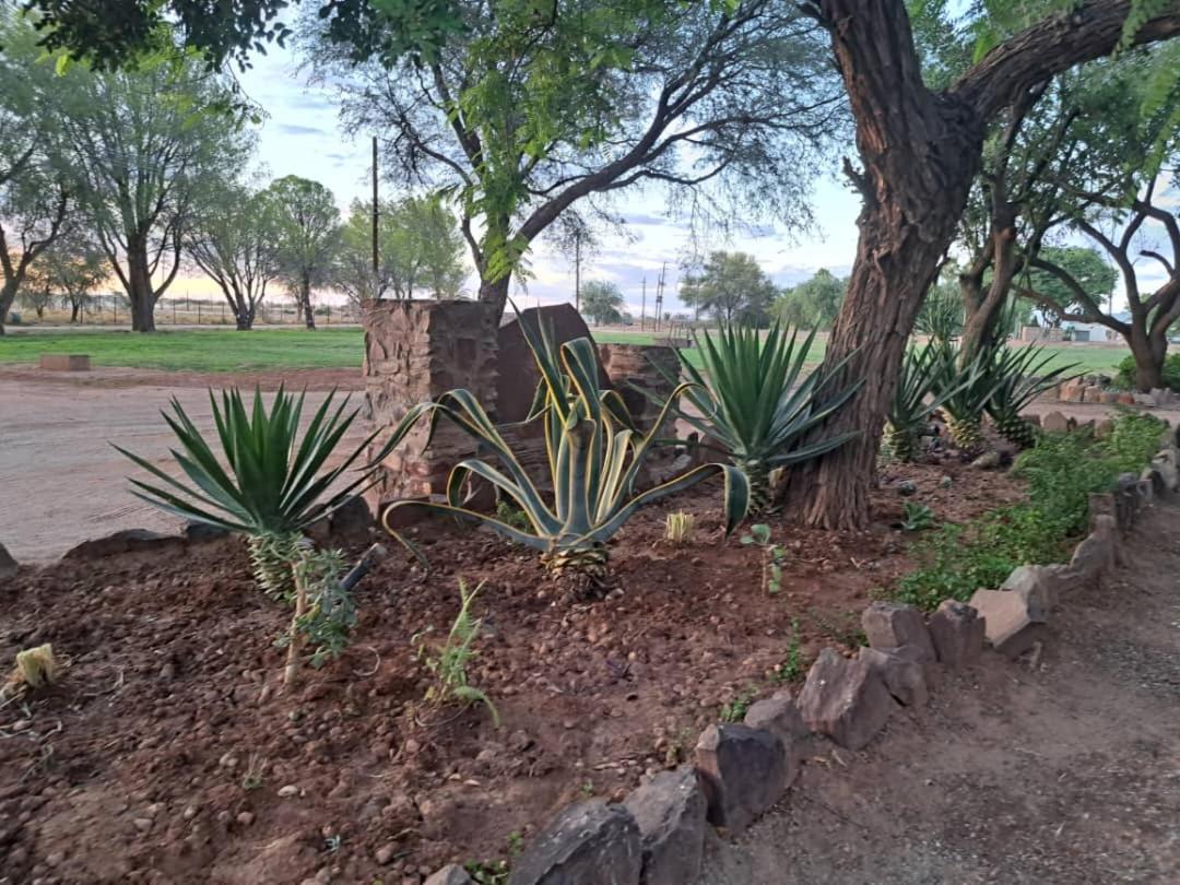 Koha Guesthouse Mariental Exterior photo